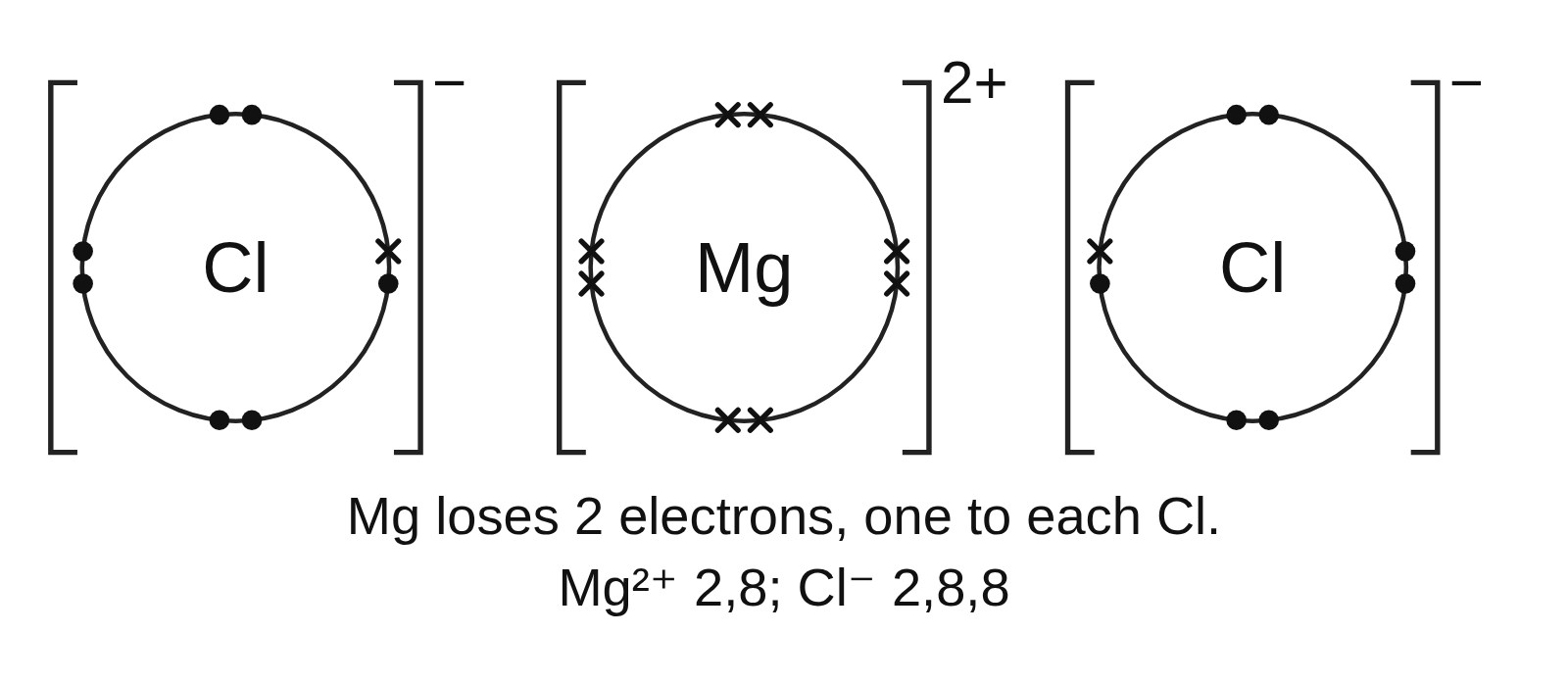 Dot-and-cross diagram of magnesium chloride: a magnesium ion with 8 crosses between two chloride ions, each with 7 dots and 1 cross, in brackets with their charges, and an answer key