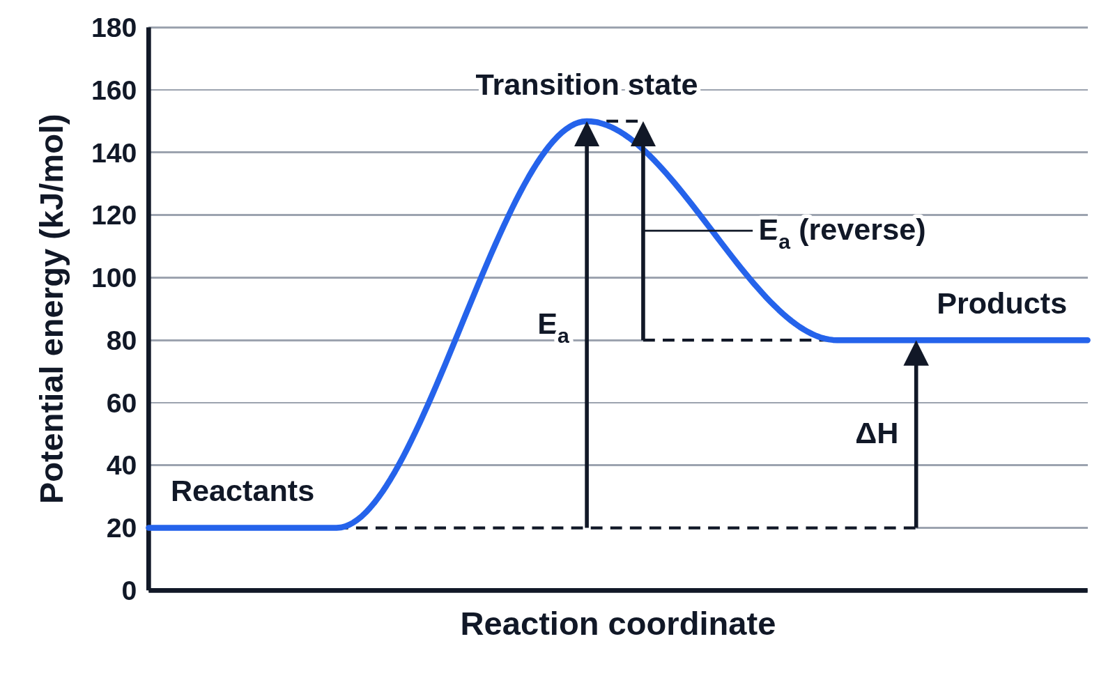 Potential energy diagram of an endothermic reaction: products higher than the reactants, with arrows for Ea, the reverse Ea and ΔH