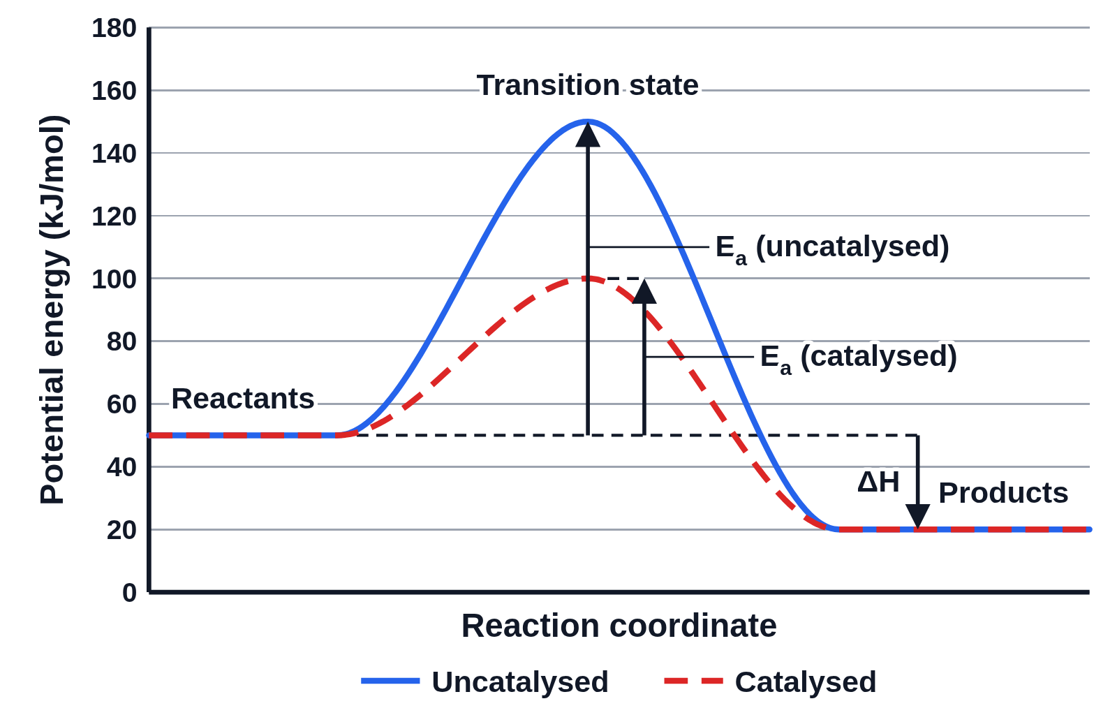 Potential energy diagram of an exothermic reaction with a dashed catalysed path over a lower transition state, the activation energies of both paths marked, and a key